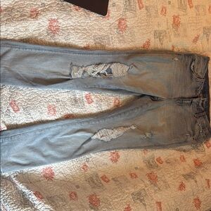 Arizona Jean Company Blue Skinny Jeans with Distressed Details